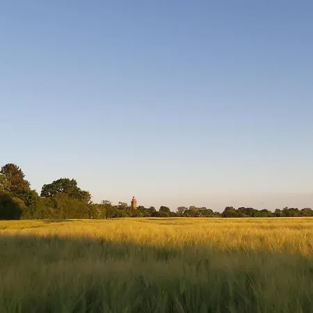 Haus Swantje - 2 - Leuchtturm داهم